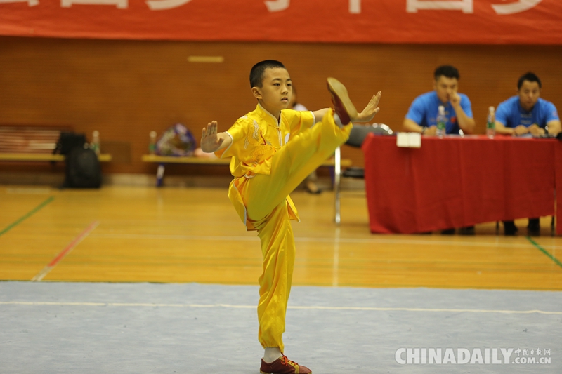 第三届中国太极好少年大赛成功举行