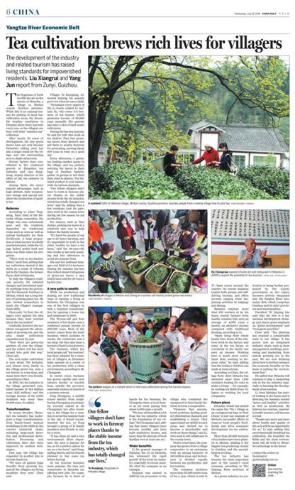 【大江奔流——来自长江经济带的报道】贵州遵义核桃坝村：弥漫着茶香的富裕生活