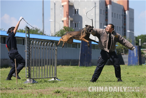 北京市公安局公交总队在警犬基地举行警营开放日活动