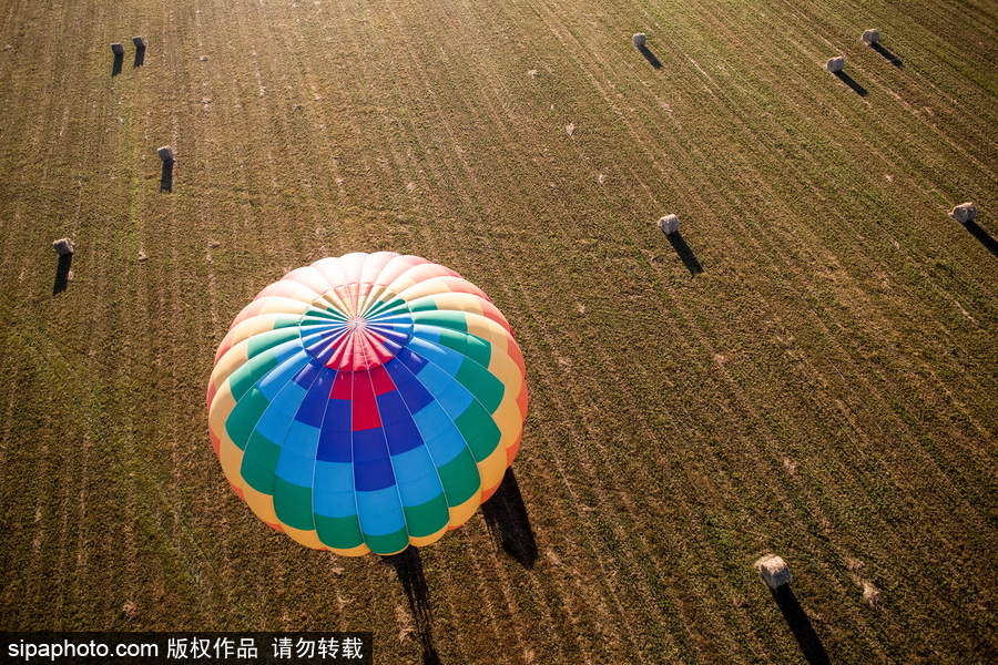 田野上放飞的彩色希望！俄罗斯下诺夫哥罗德举办热气球节