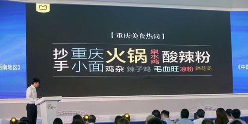 中国旅游大数据中心在智博会上授牌 一批智慧旅游新项目落户重庆