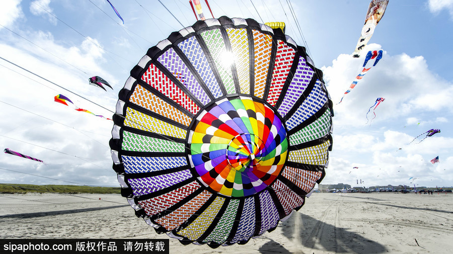 造型夸张可爱场面壮观 美国华盛顿州国际风筝节如约而至