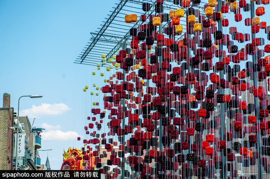 荷兰：梵高出生地举行花卉游行 鲜艳花朵拼制成各种巨型造型