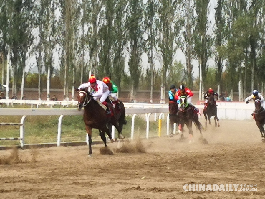 新疆第九届少数民族运动会各项赛事全面展开