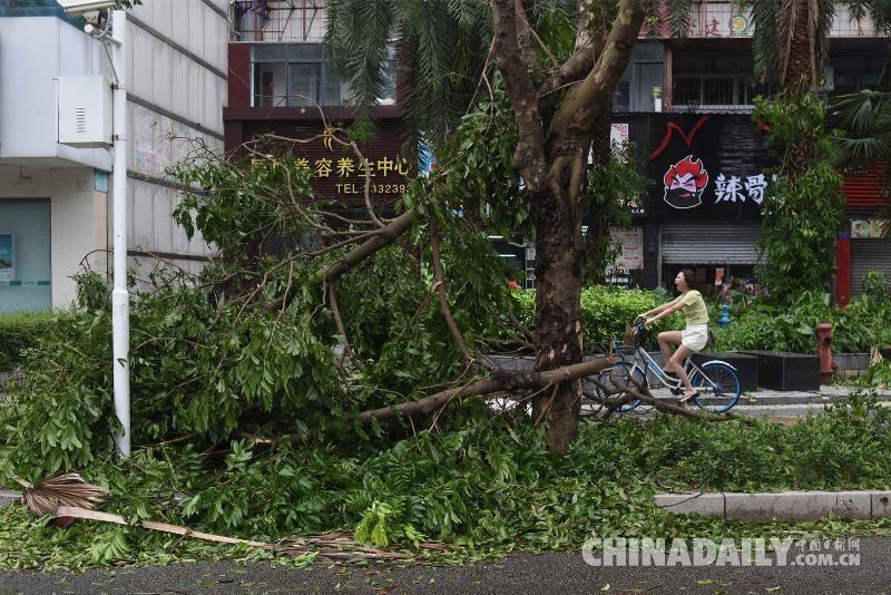广东珠海：台风“山竹”过境 生活生产秩序逐渐恢复