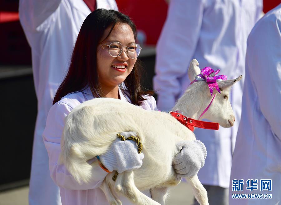 最年轻的节日 最悠久的牵念——写给首个中国农民丰收节