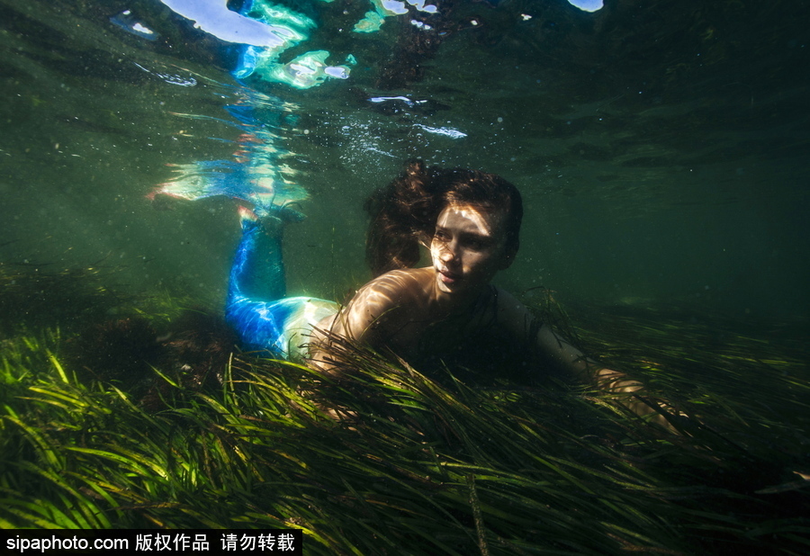 俄罗斯符拉迪沃斯托克：“美人鱼”模特水中拍照再现童话场景