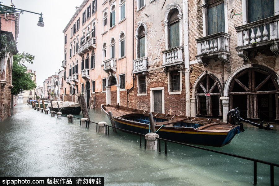 意大利：威尼斯水位暴涨出行不便 水平面最高达160厘米