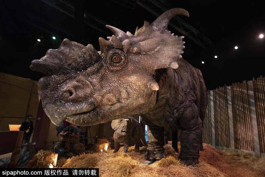 西班牙：身临其境！《侏罗纪世界：堕落的王国》展览在马德里举行