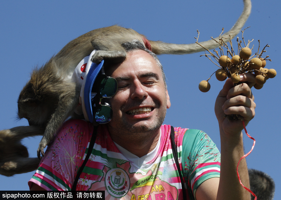 泰国：狂吃海塞欢度节日！猴子自助餐节在曼谷举行