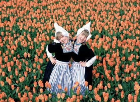 荷兰“花花世界” 5大赏花攻略赏尽郁金香