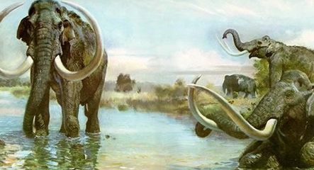 猛犸象两年后可复活 穿越4000年只待合格代孕体