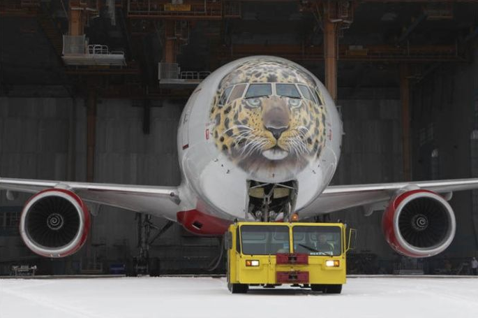 俄推出“阿穆尔豹”彩绘涂装飞机