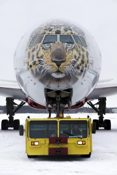 俄推出“阿穆尔豹”彩绘涂装飞机
