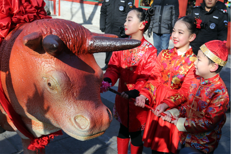 传统民俗再现京城！北京“打春牛”习俗迎立春