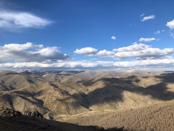 新疆两河源自然保护区2018首现雪豹行踪