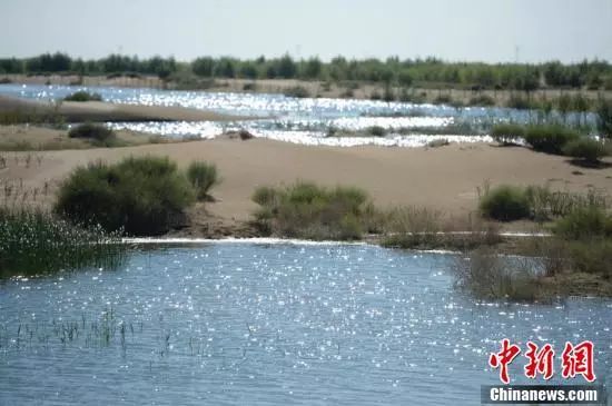 【聚焦】中国第七大沙漠治理：引黄河凌水“沙漠变绿洲”