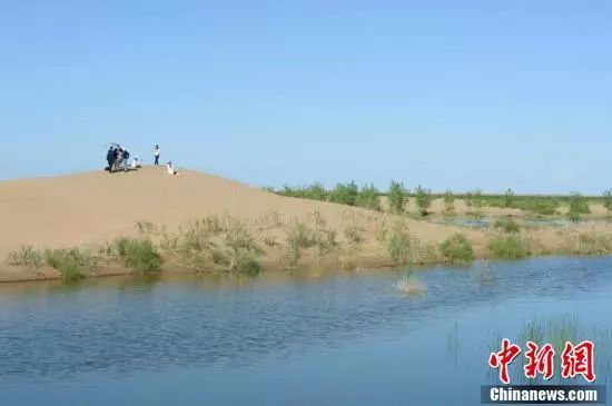 【聚焦】中国第七大沙漠治理：引黄河凌水“沙漠变绿洲”