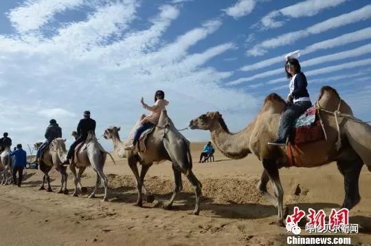 【聚焦】中国第七大沙漠“沙进人退”到“绿进沙退”的转变