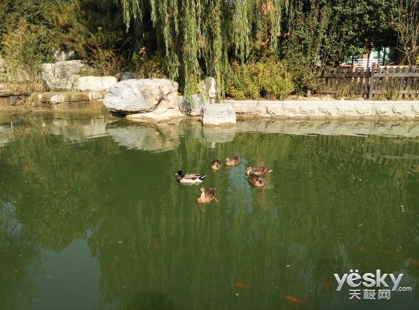 兼顾翻新与安全 360奇酷手机旗舰版体验评测