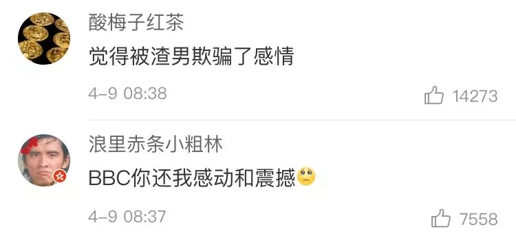 BBC东谈主设崩？记录片作秀引哗然，网友：还我感动和颤动