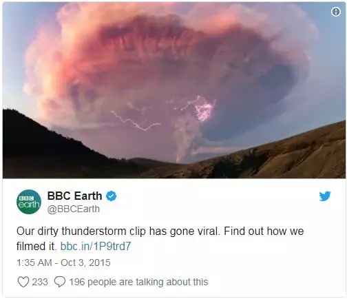 BBC东谈主设崩？记录片作秀引哗然，网友：还我感动和颤动
