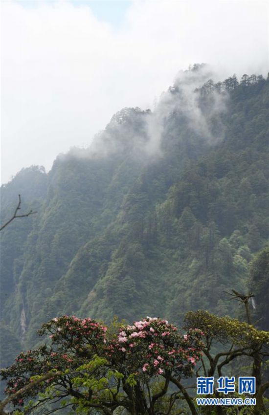 （美丽中国）（6）峨眉山景色秀美