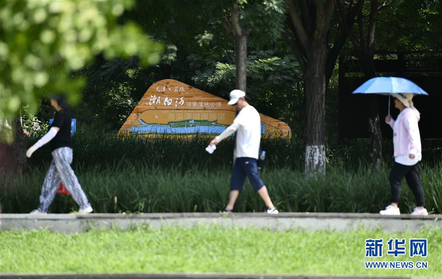 （环境）（1）走进潮白河国家湿地公园