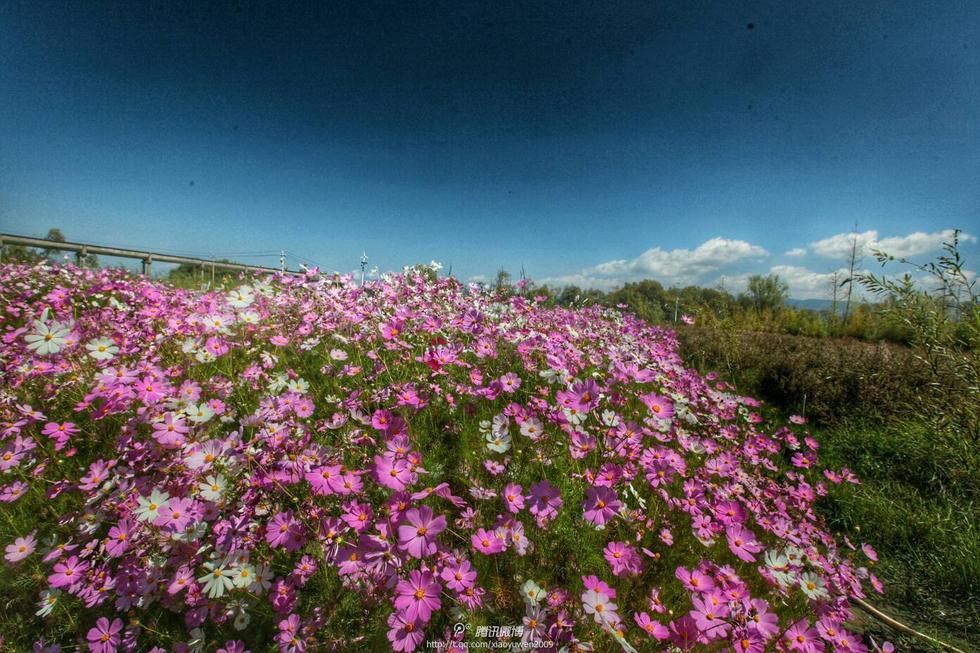 国庆假期 网友晒旅途美景