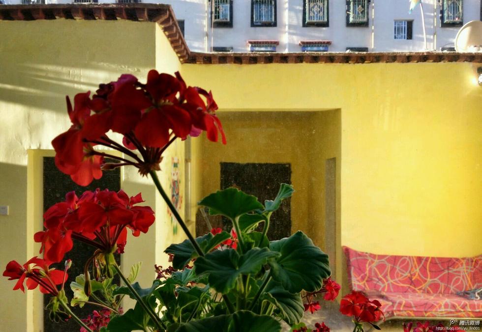 国庆假期 网友晒旅途美景