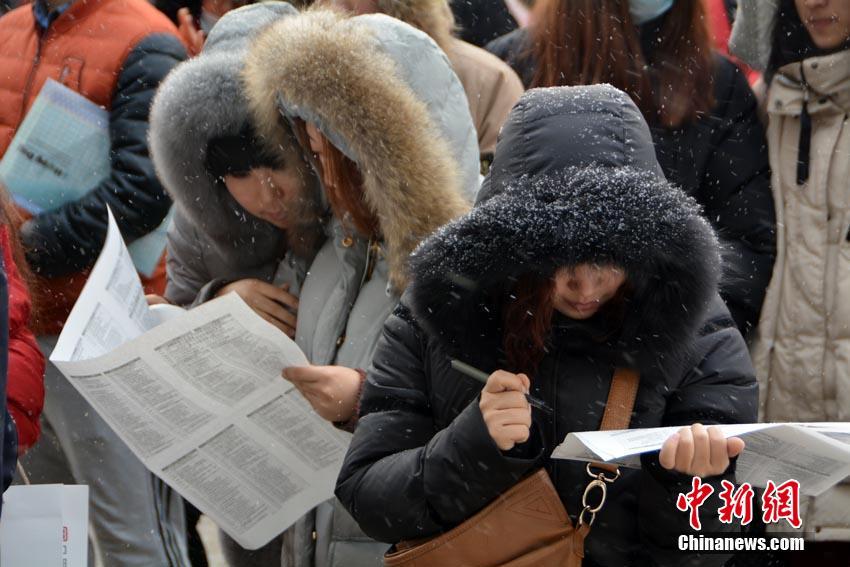 3万毕业生零下15度室外排长队求职