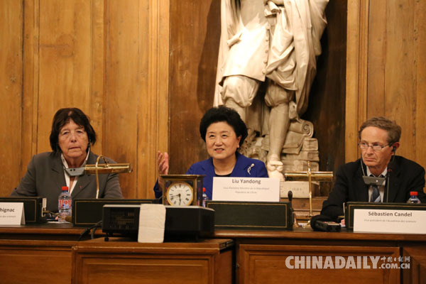 刘延东：中法关系在国际上创造了多个“第一”
