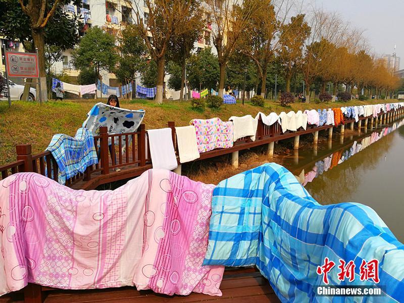开学季学生集体晒被子 场面壮观[组图]