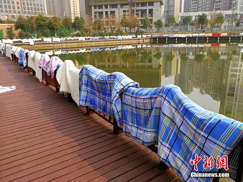 开学季学生集体晒被子 场面壮观[组图]