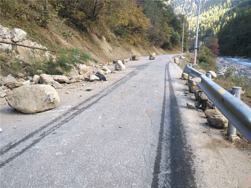 武警西藏森林总队积极投入抗震救灾工作