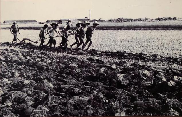金立群：国家有前途，你才会有未来丨40年40人